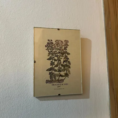 Apartment Casa Palacio 1890. *